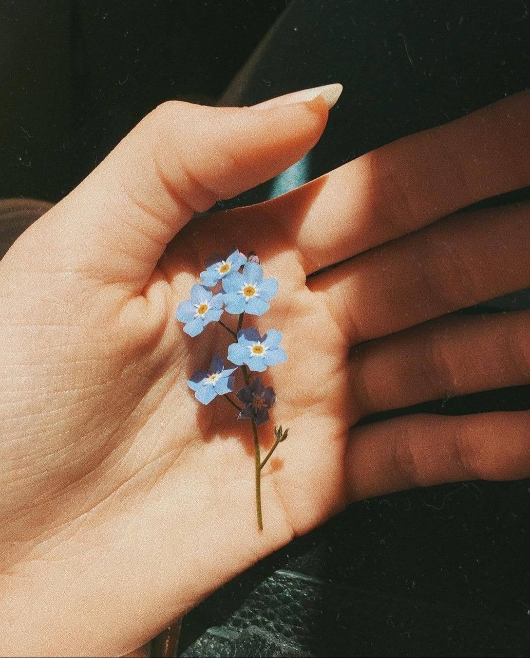Маленькие цветочки Эстетика