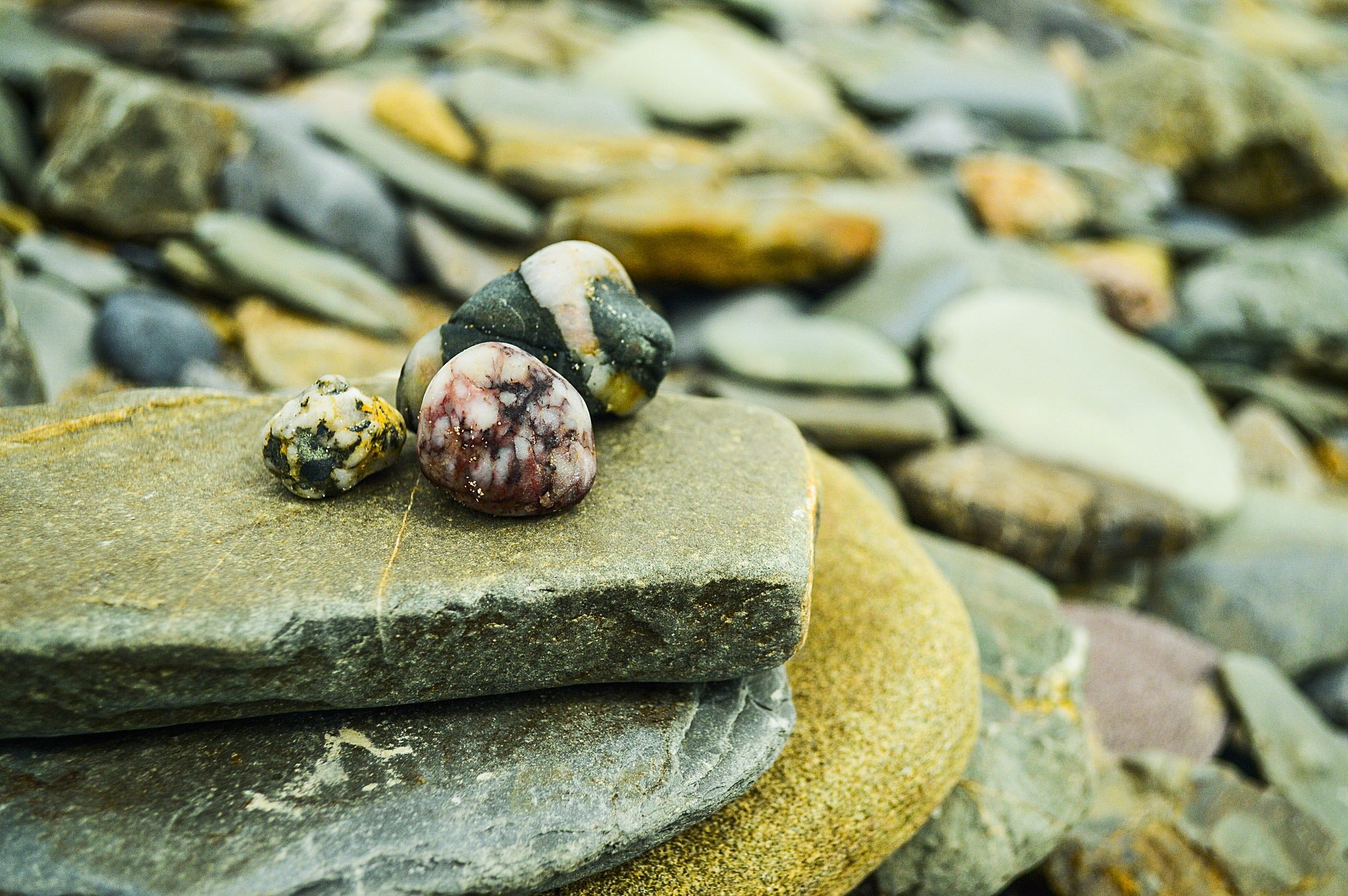 Печеный камень. Горные камни. Растения в гальке. Камень на скале. Камень Макросъемка.
