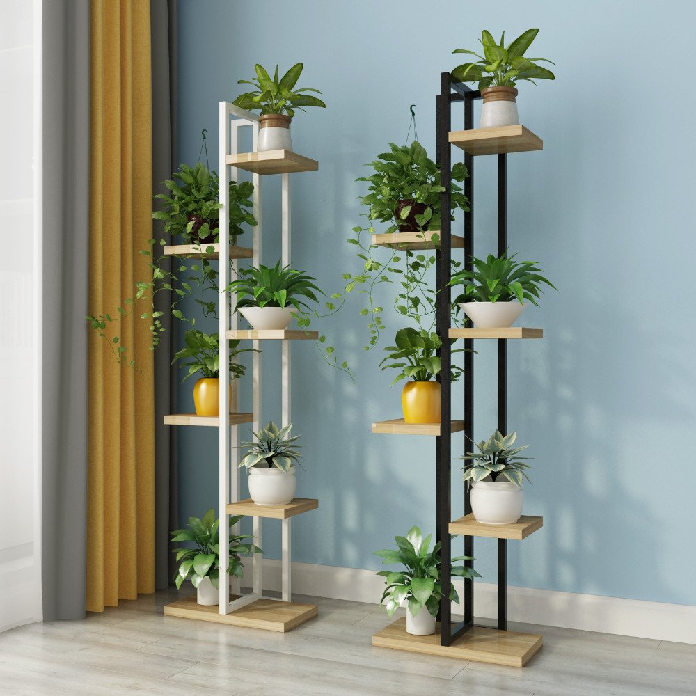 Indoor Plants монстера