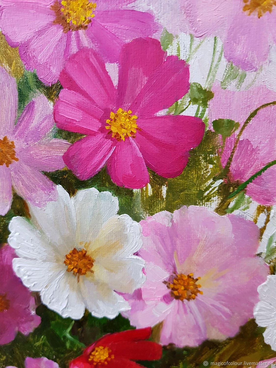 Космея сладкие грезы