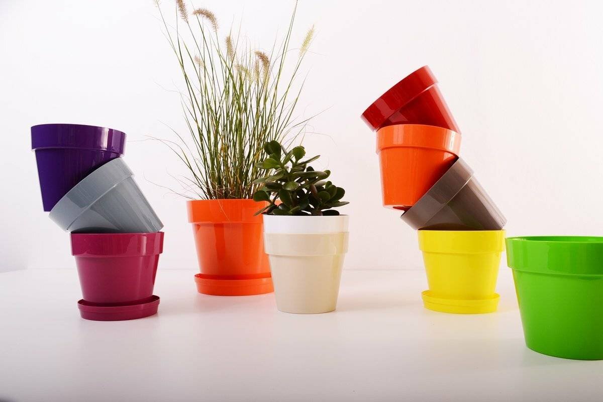 Crate &Barrel горшки