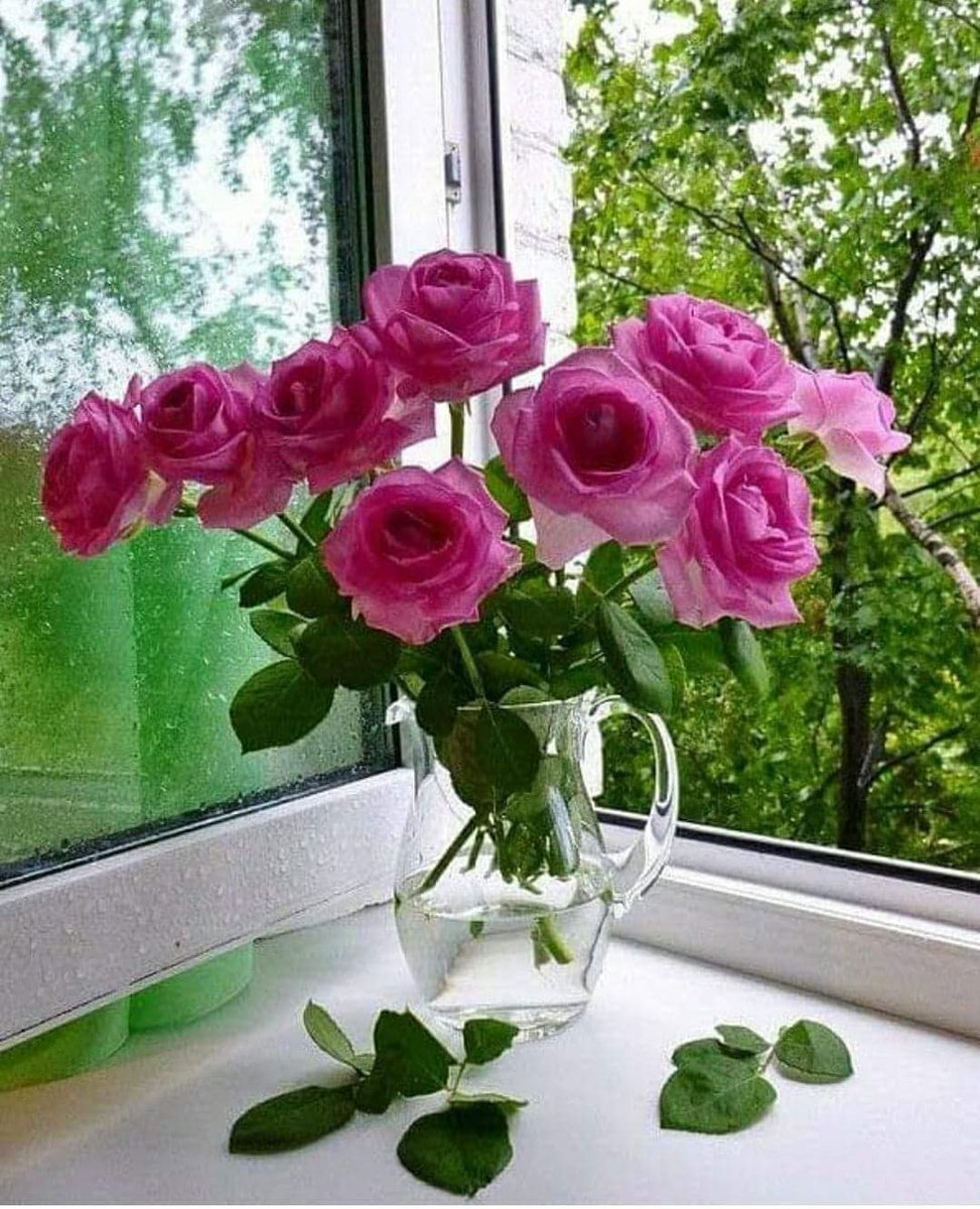 Подоконник с цветами