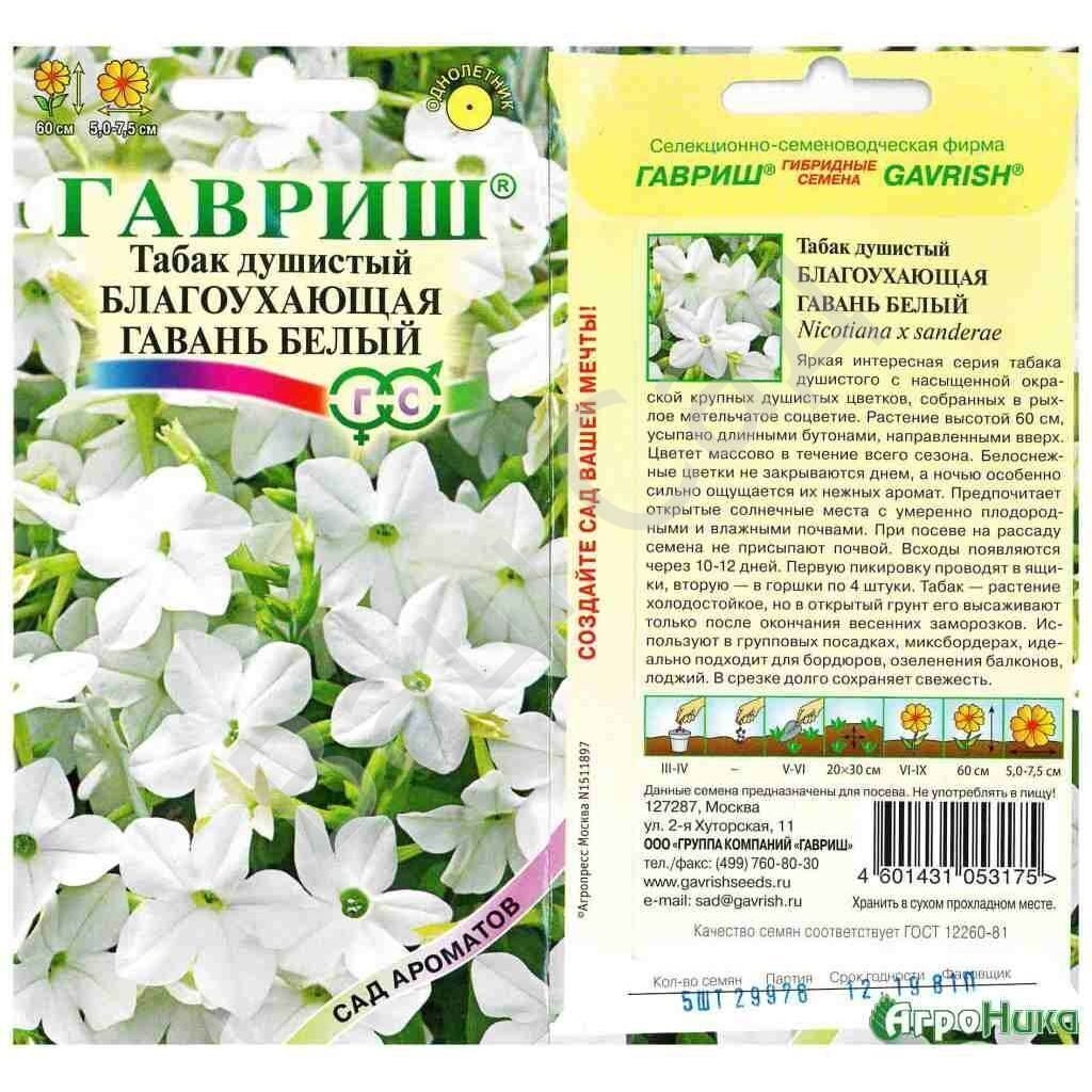 Душистый табак Тодес