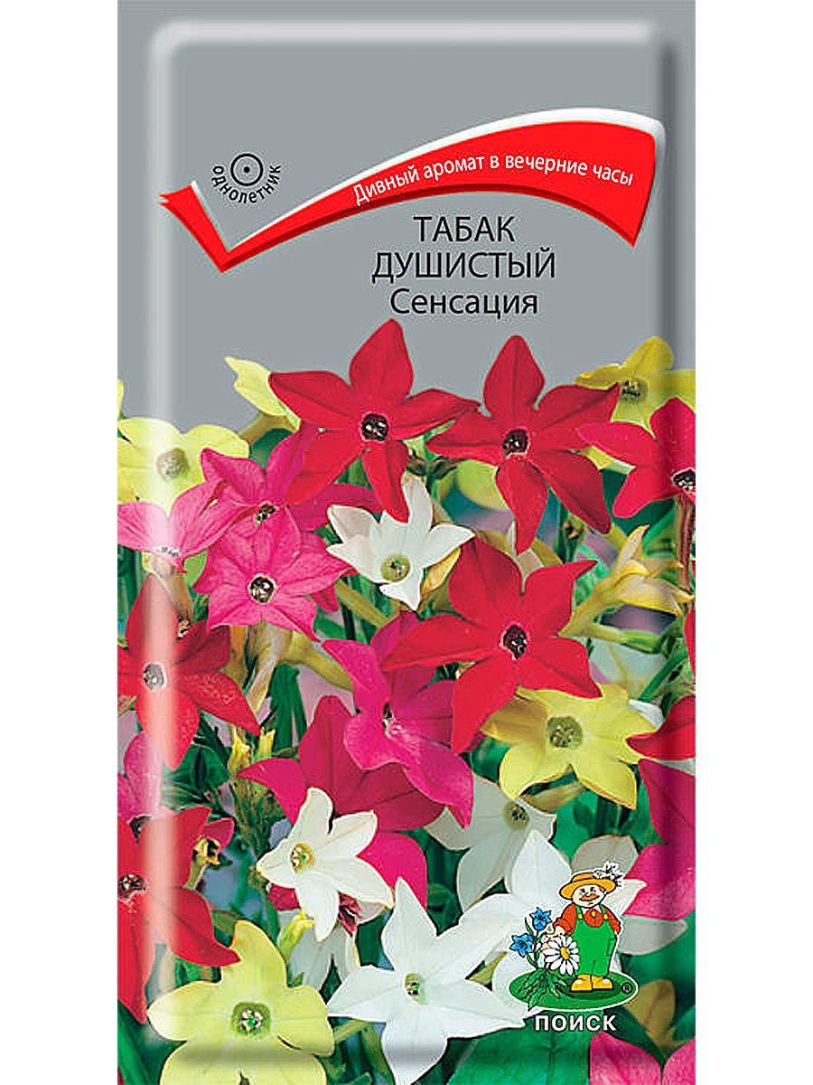 Табак душистый Дольче Вита
