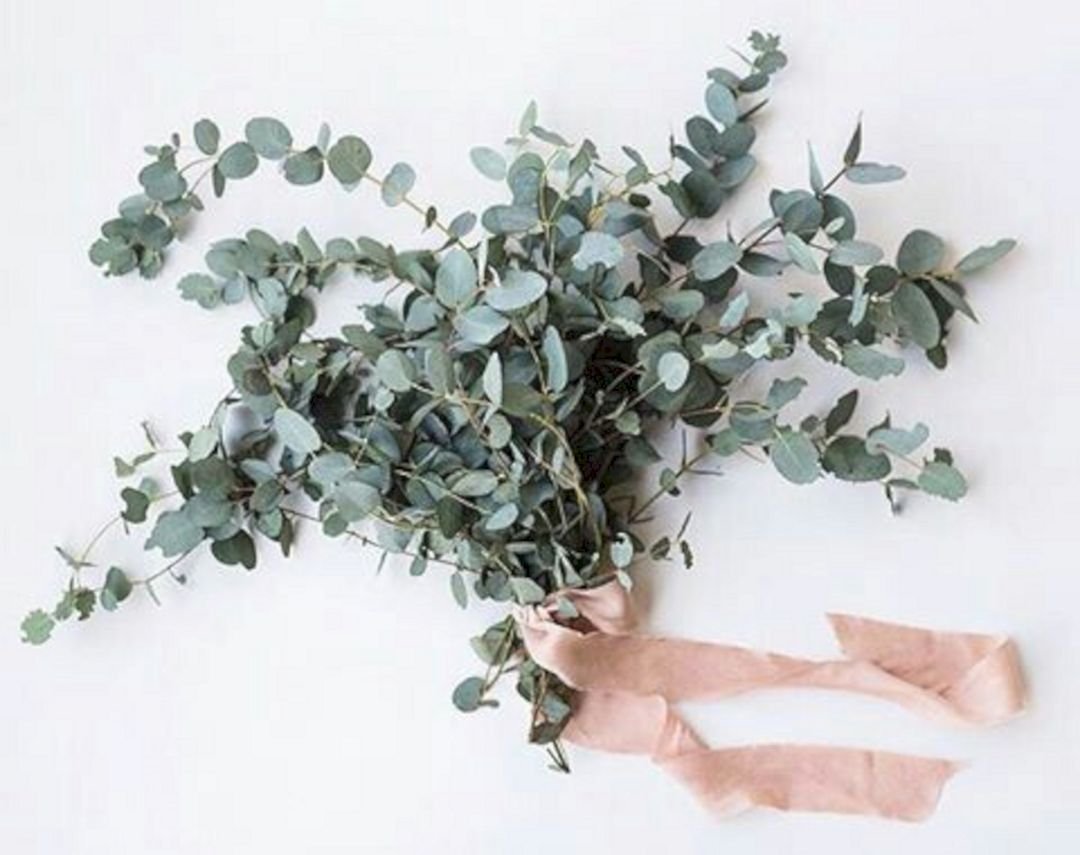 Silver Dollar Eucalyptus Bouquet