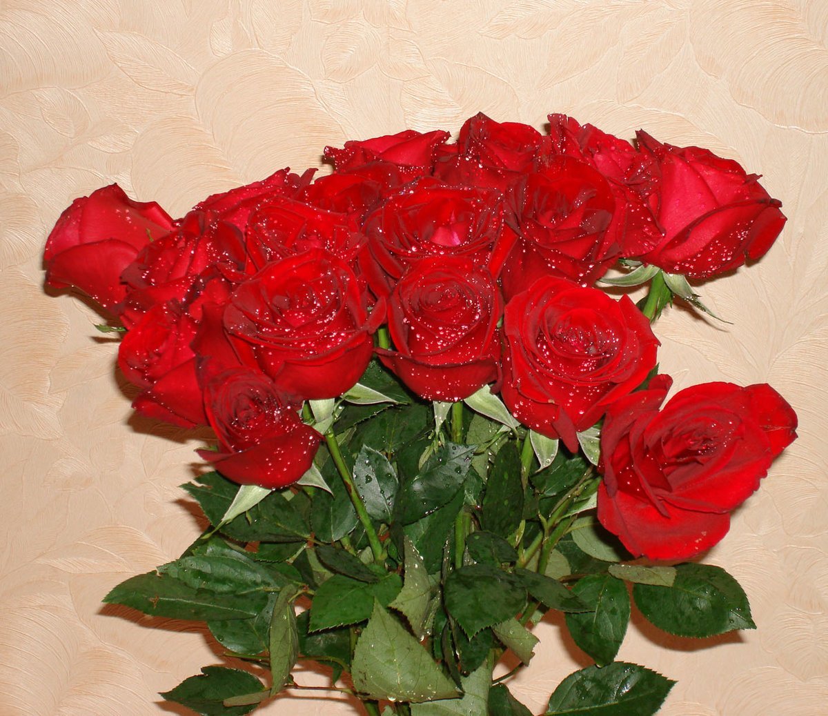 Сделать 2 фото розы. Шикарный букет роз. Красивый букет алых роз. Букет красных роз. Шикарние букет алых роз.