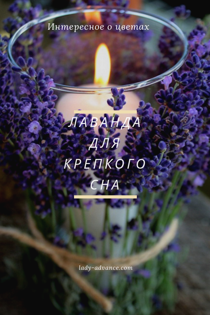 Крафтовый бокс лавандовый