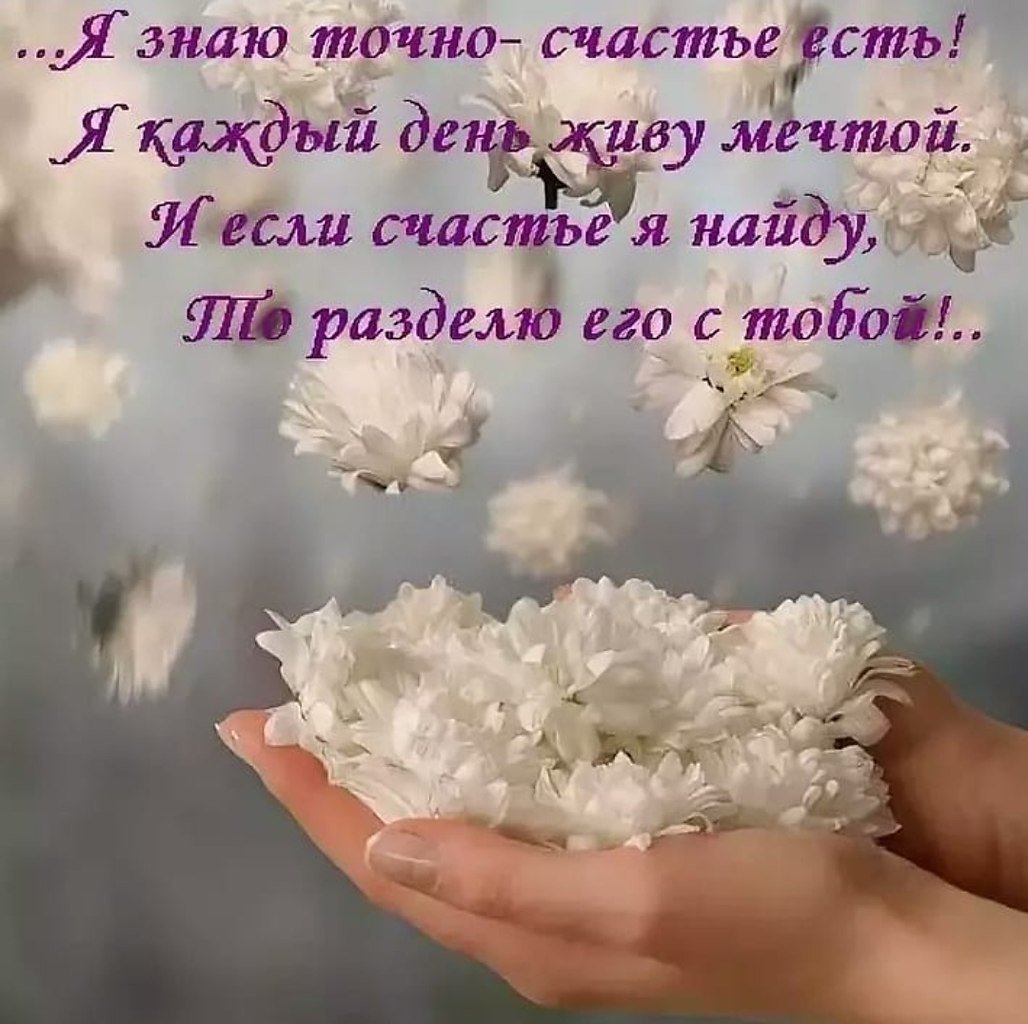 Хрупкий цветок