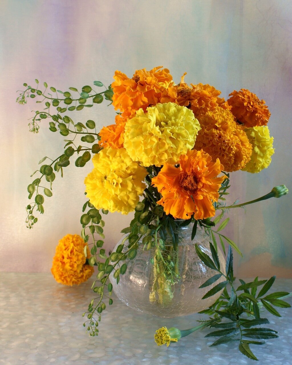 Marigold цвет