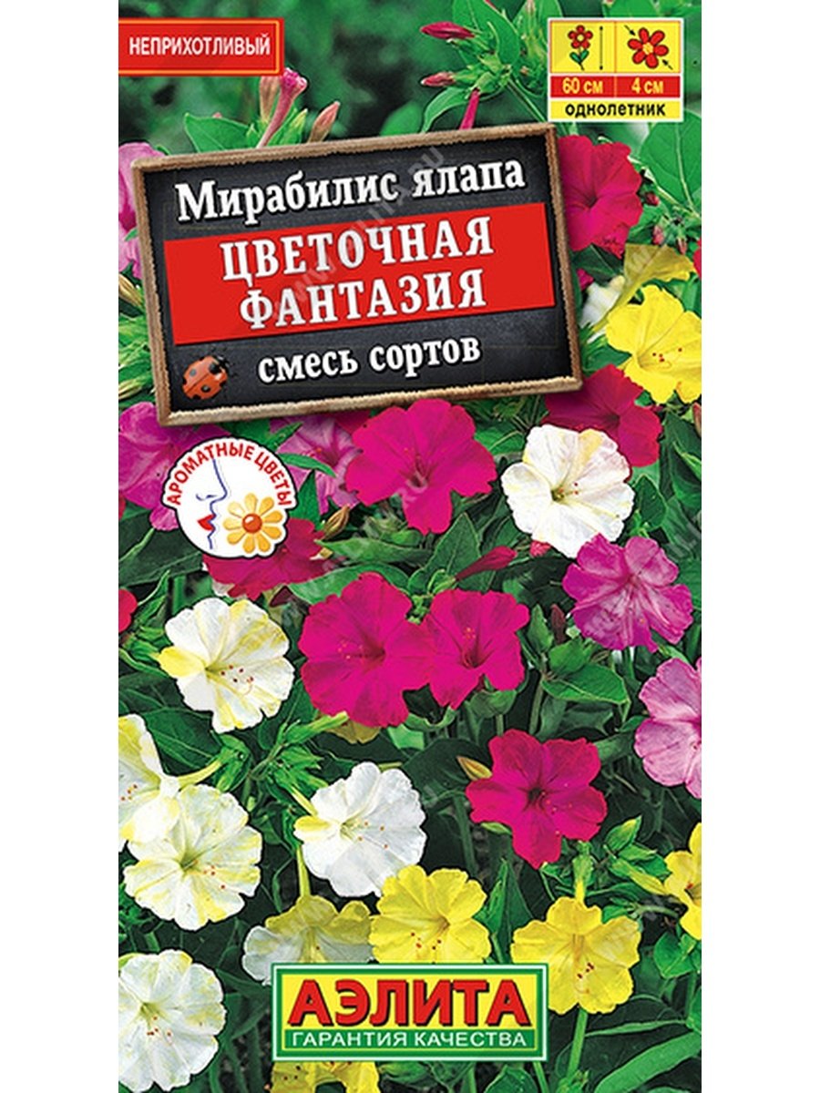 Мирабилис морфологическое описание
