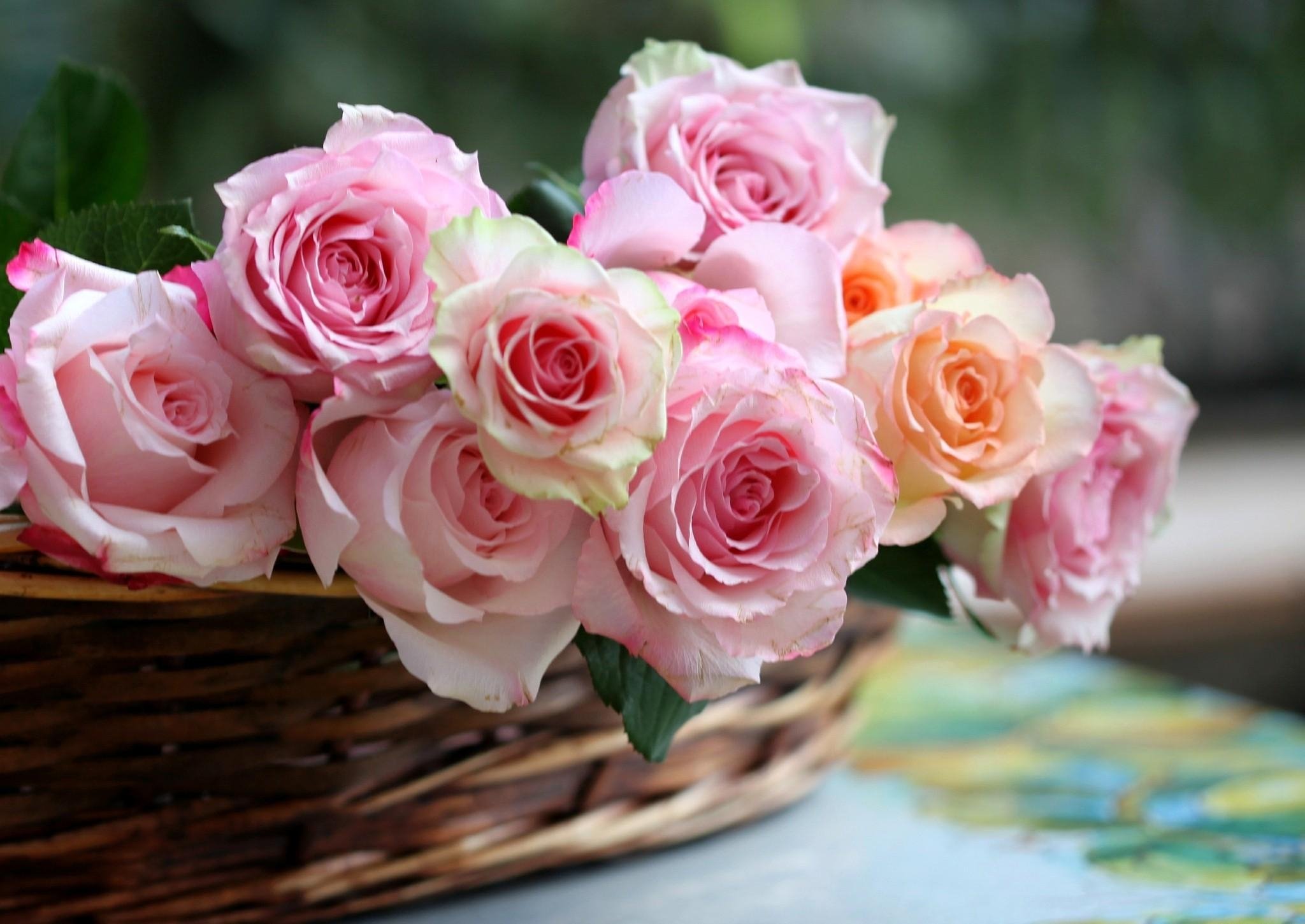 Cvety. Розовые розы. Нежный букет. Шикарные цветы. Красивый нежный букет.