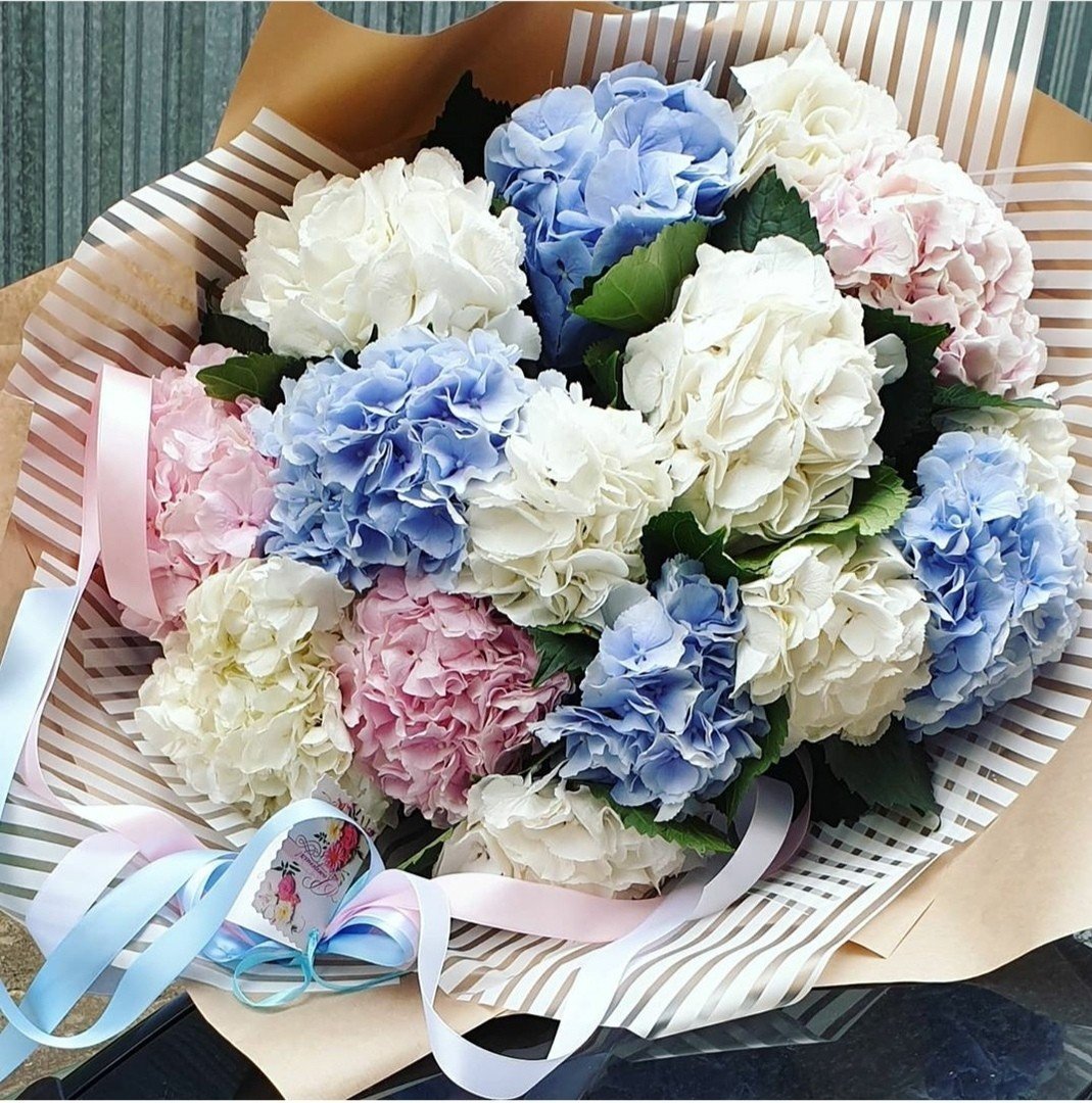 Розовая гортензия и розы