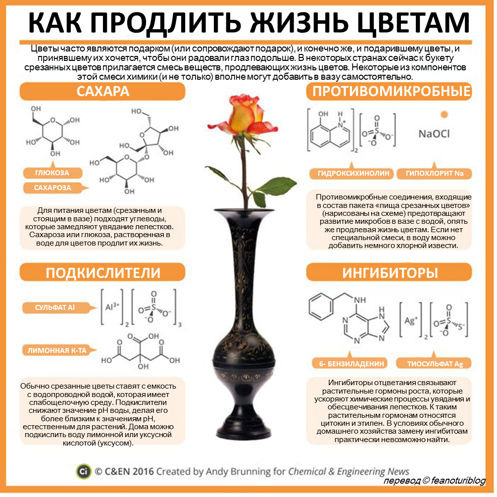 Инфографика по химии