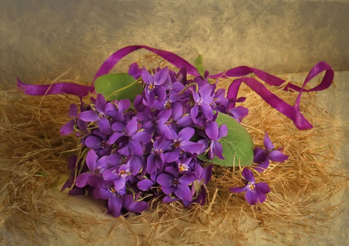 Сиреневая композиция