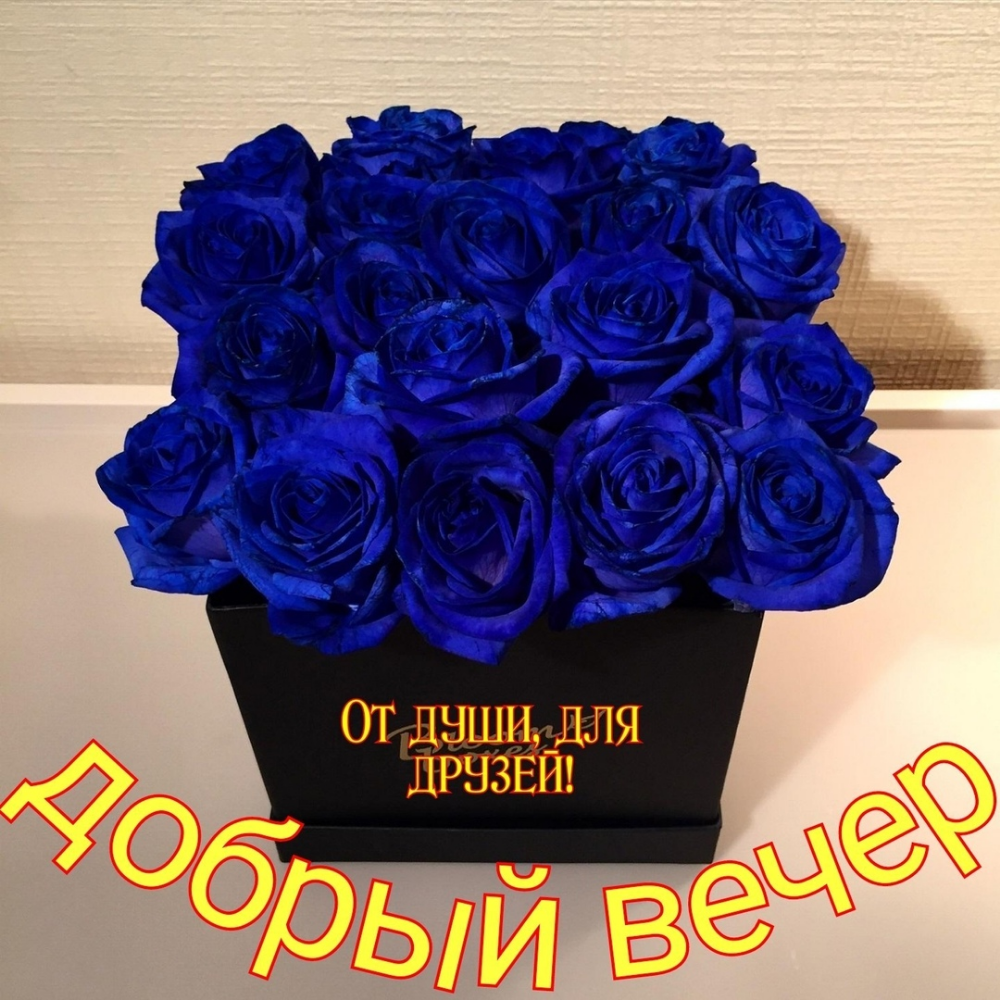 Голубые розы букет реальный