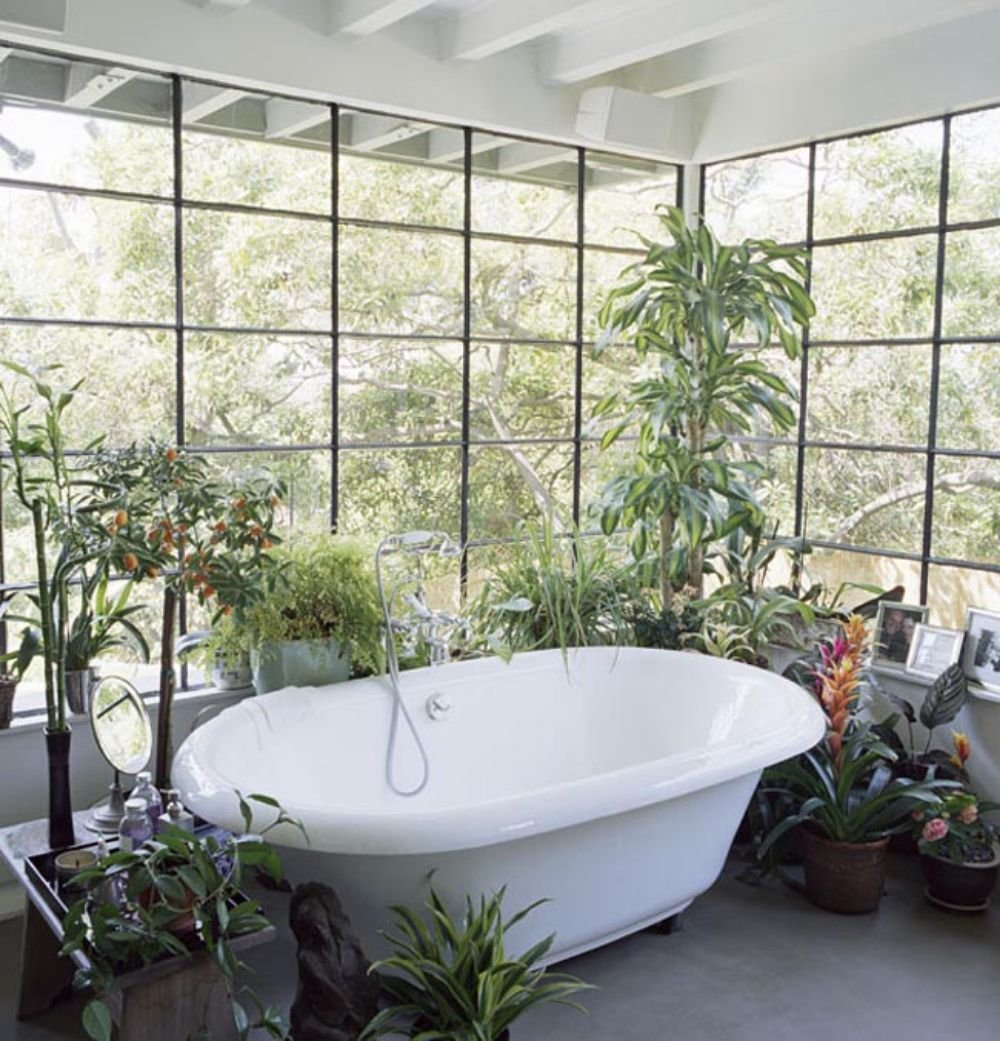 Цветы в ванной без окон. Ванная комната с растениями. Комнатные растения в ванной. Озеленение ванной комнаты. Живые растения в ванной.
