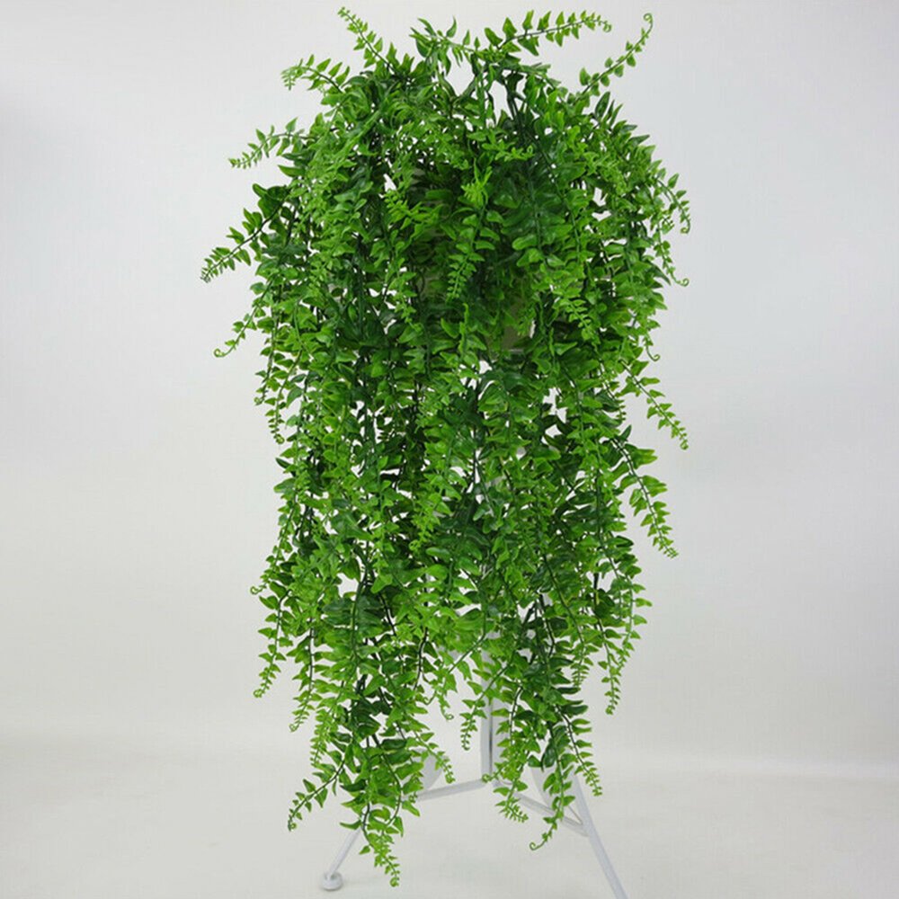 Пилея Глаукофилла зеленая ампельная