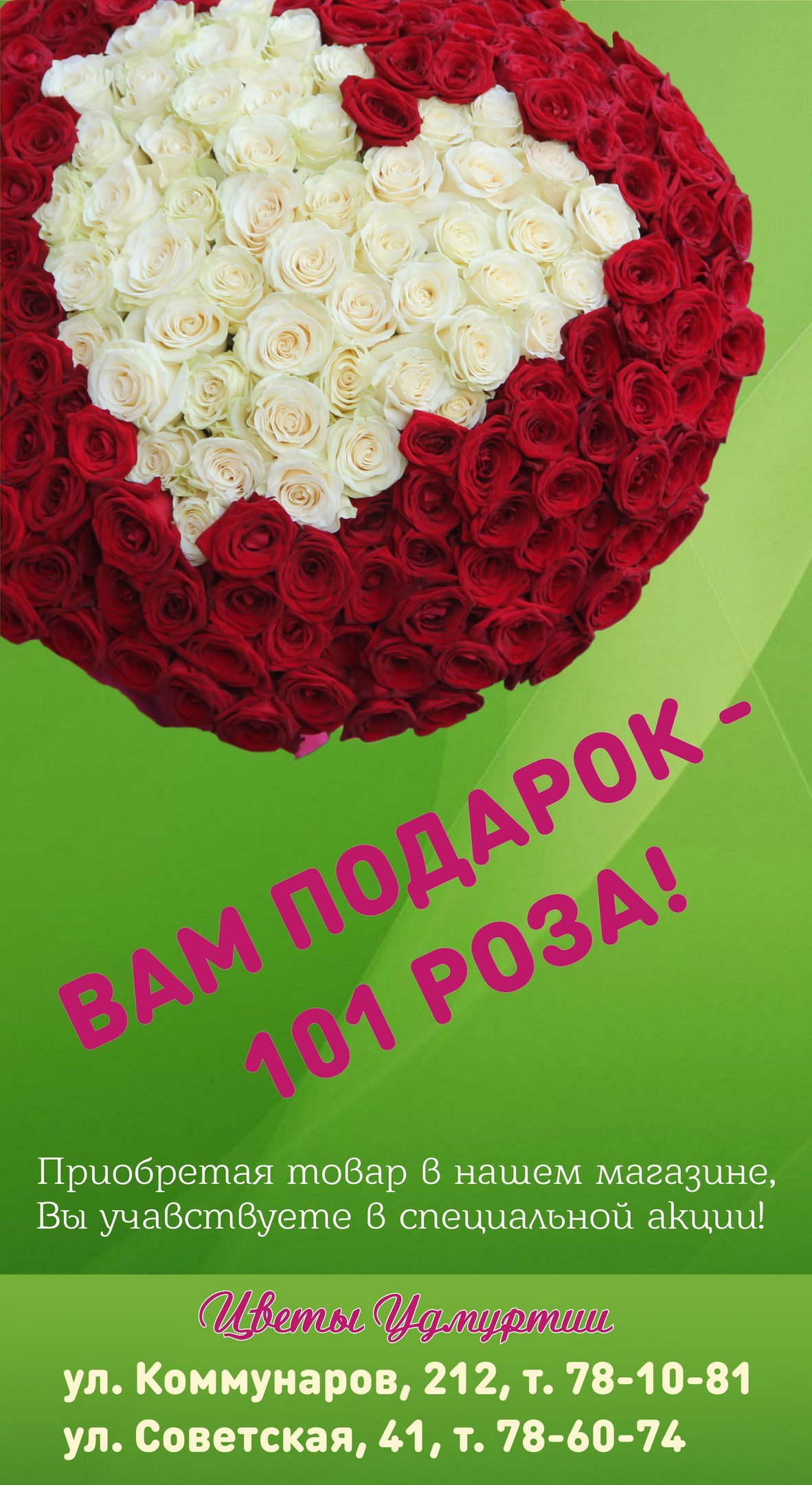 Роза Эквадор Эсперанс