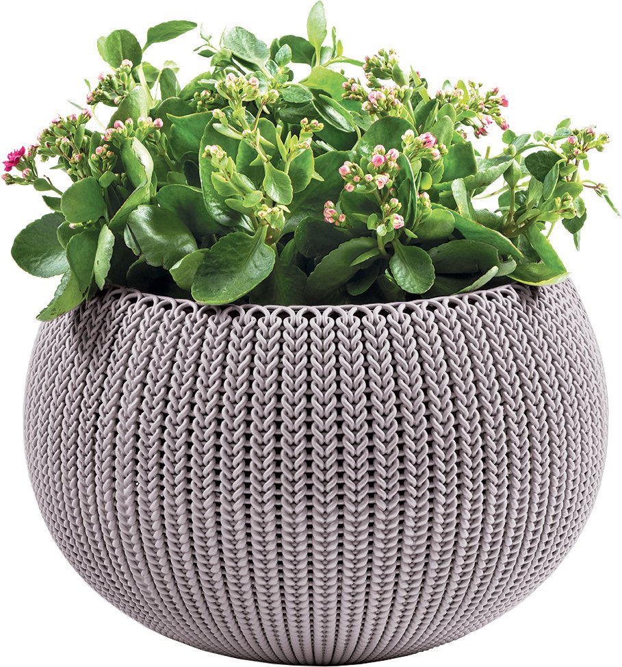 Кашпо Keter cozies - l