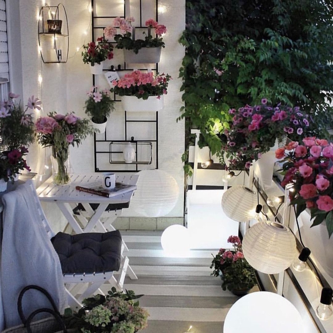 Пеларгония плющелистная Toscana balcon Stellena