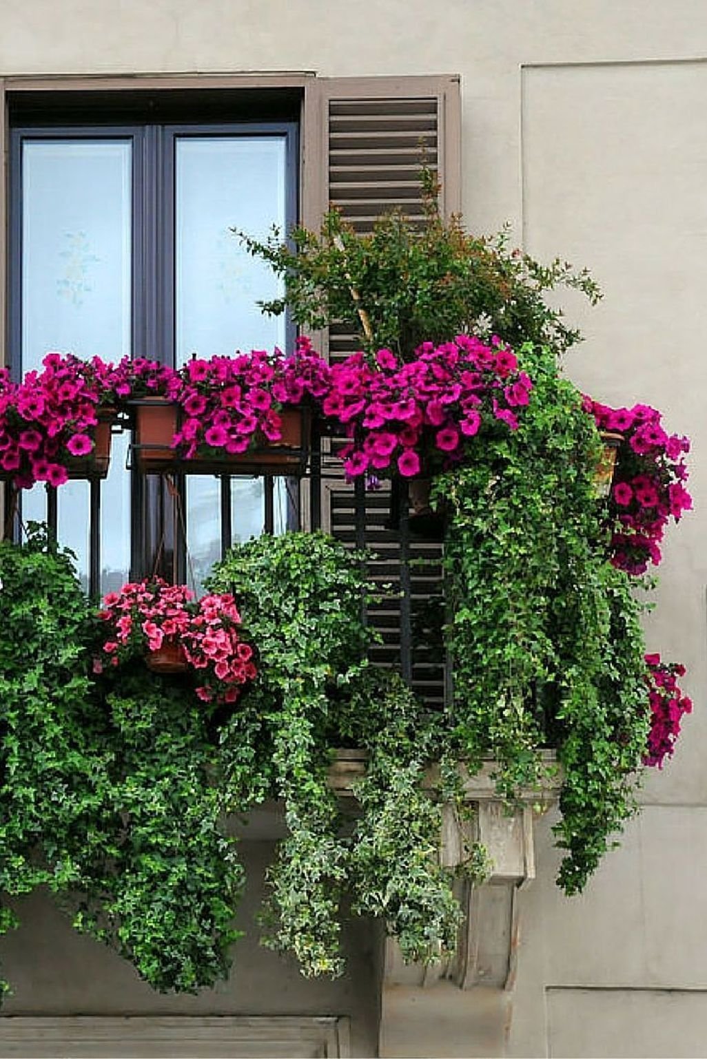 Испания.цветочные Дворики Patio Cordobes