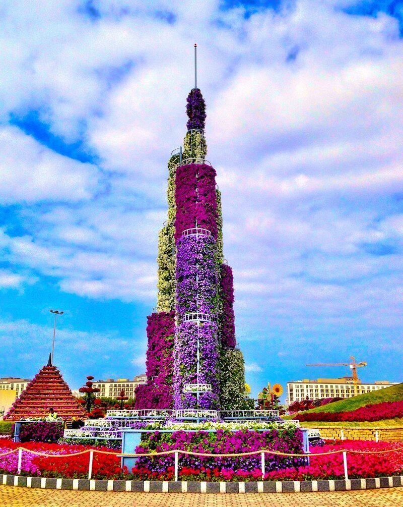 Парк цветов Dubai Miracle Garden