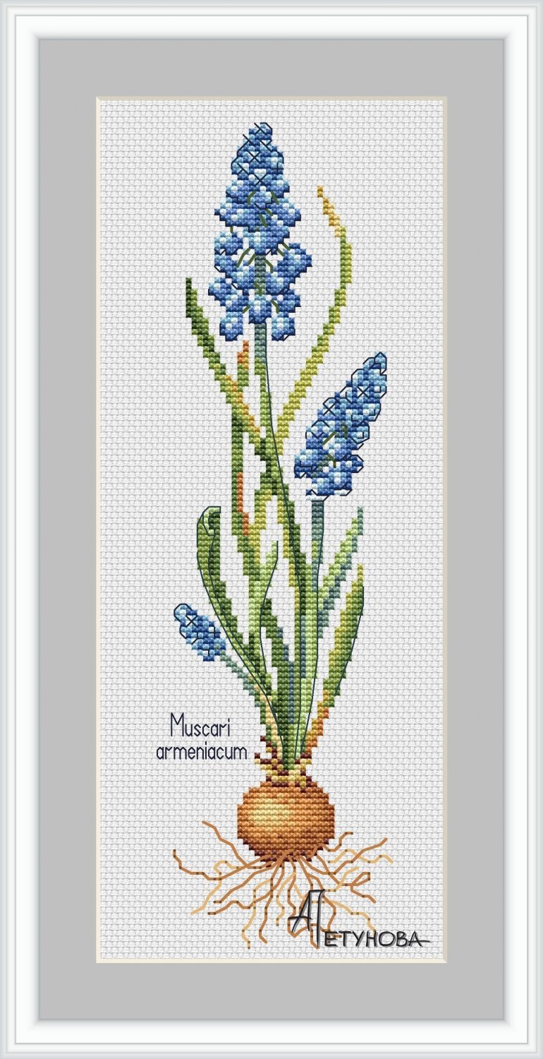 Мускари полимерная глина