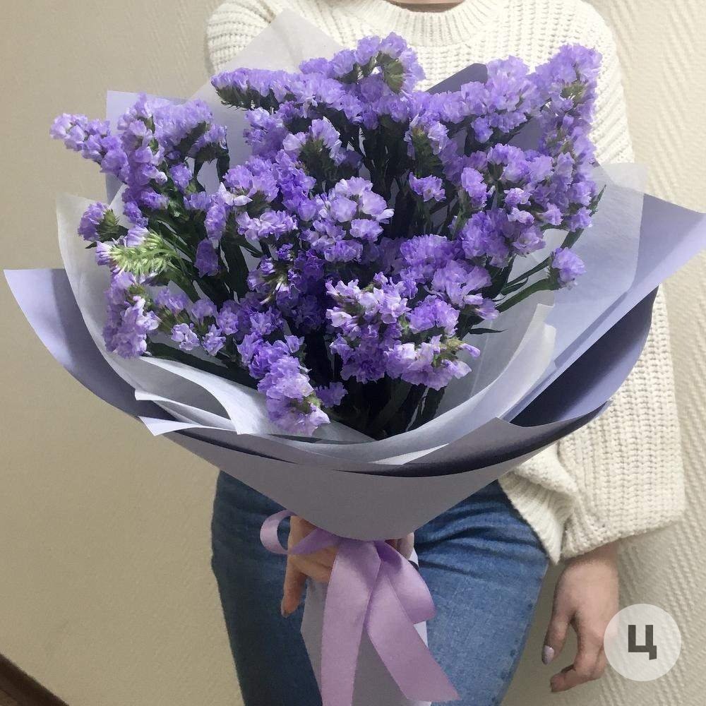 Статица куст