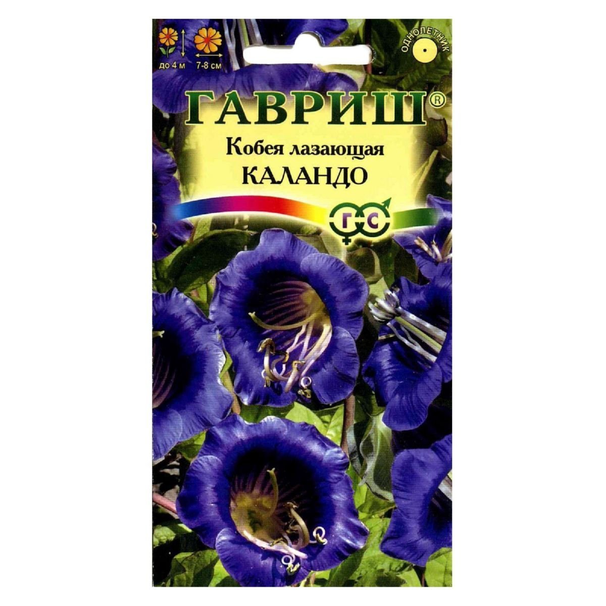 Клематис Лиана