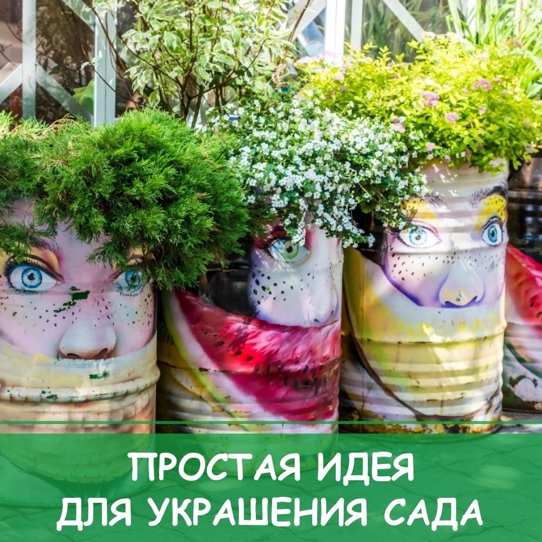 Клумба из железной бочки