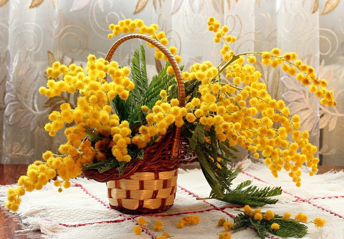 Алмазная мозаика Мимоза