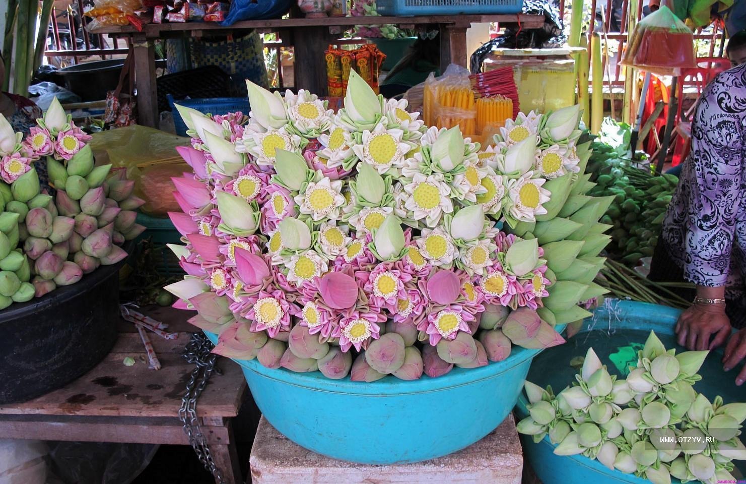 Букет лотосов купить. Букет лотосов. Камбоджа цветы. Лотос во флористике. Букеты во Вьетнаме.