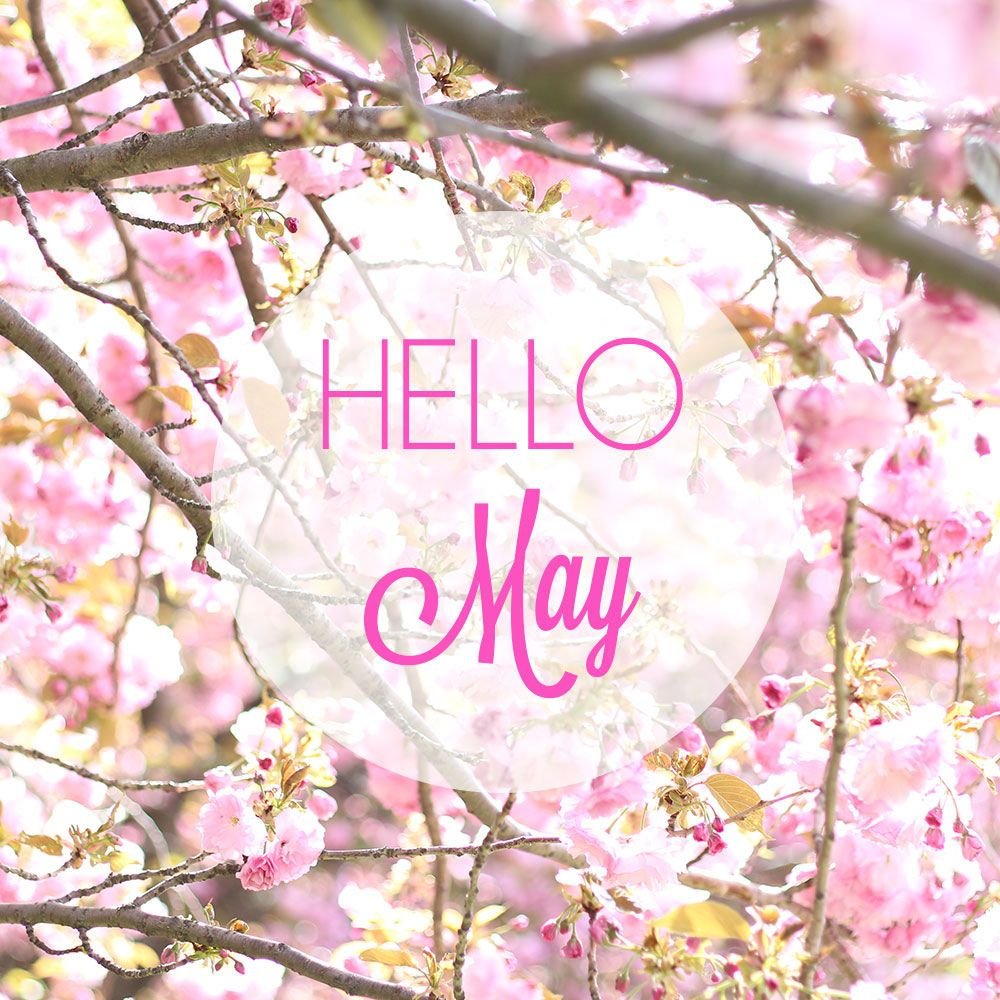 Hello May надпись