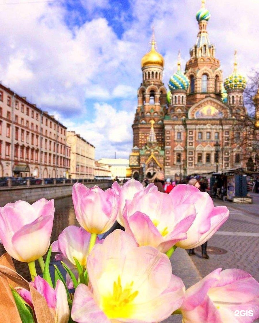 Санкт-Петербург май