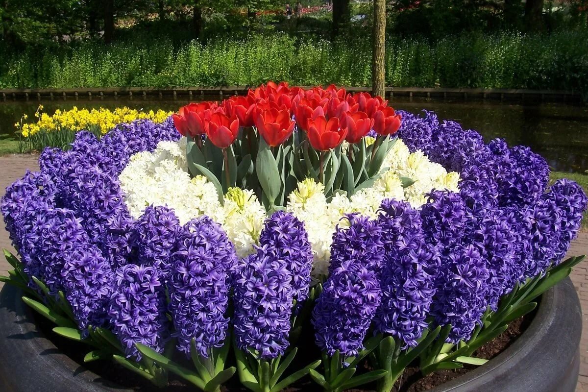 Цветы для любимой