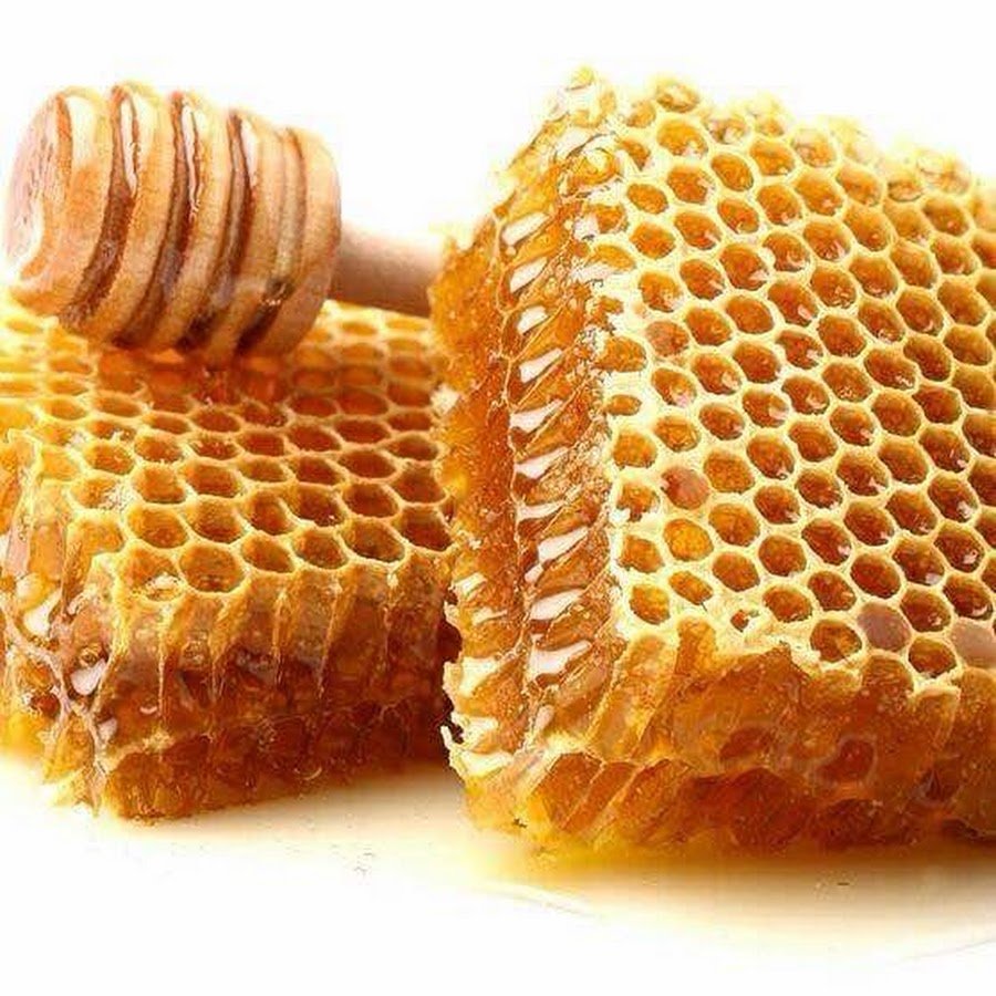 Медовые соты печенье. Мёд в сотах. Соты меда. Крупные медовые соты.