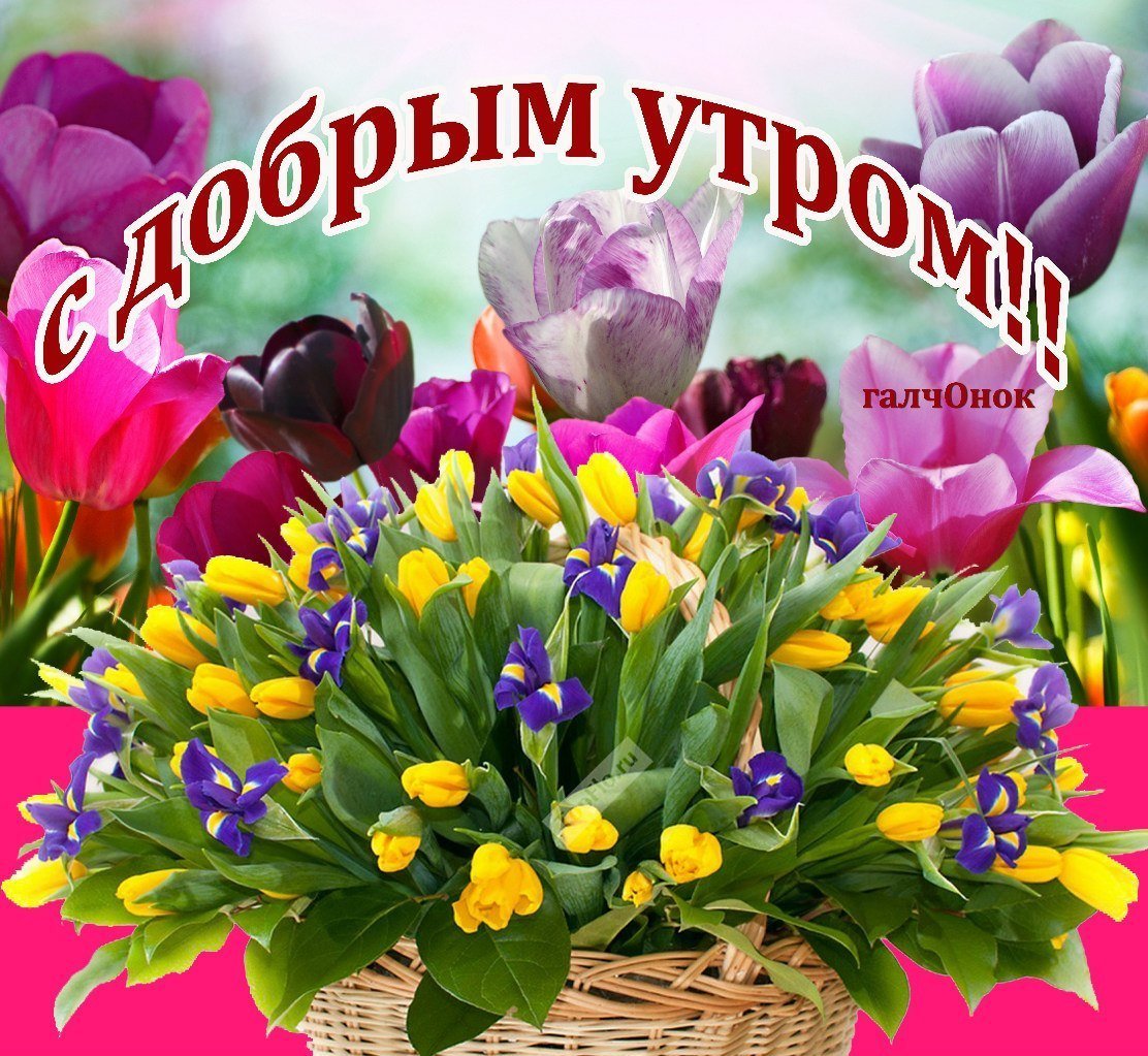 Весенние цветы с пожеланиями