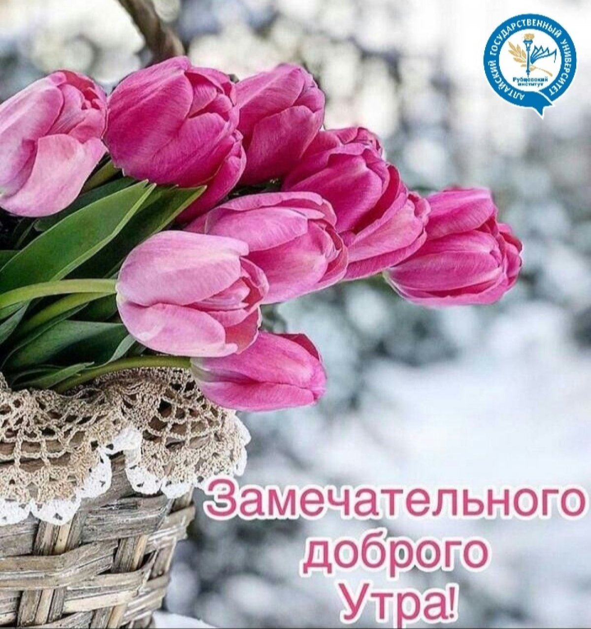 Доброго утра и хорошеготнастроения