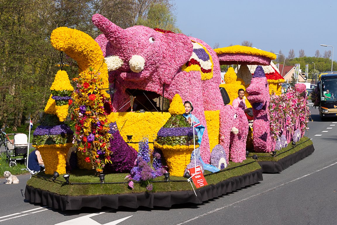 Выставка Chelsea Flower show 2018