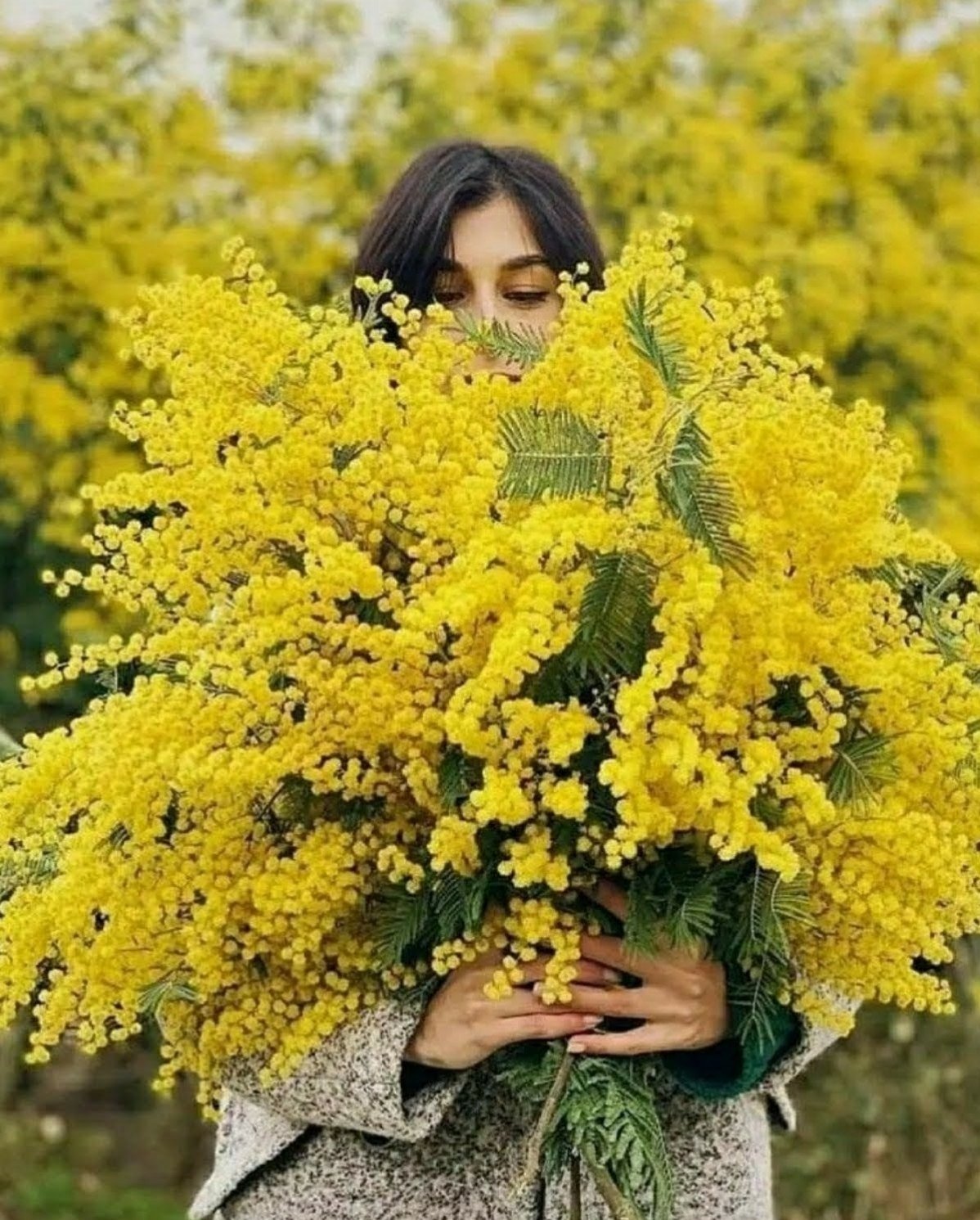 Весной желтые цветы