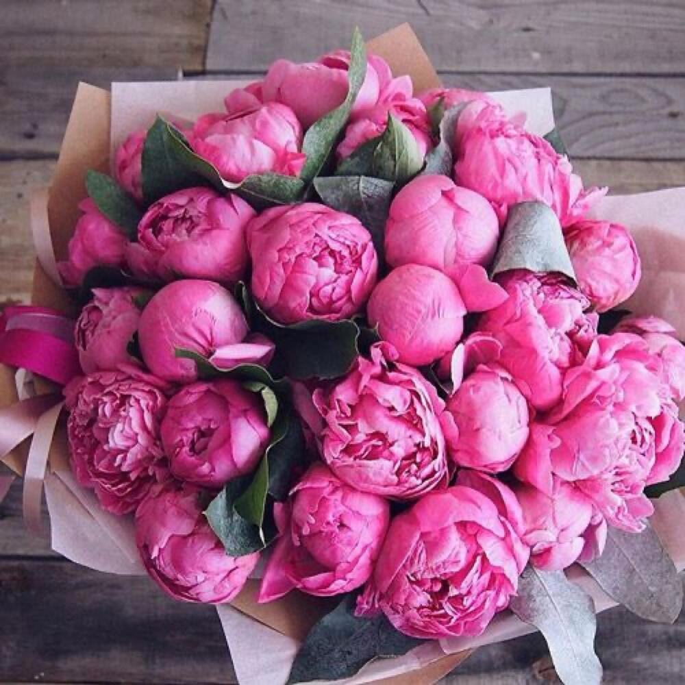 Пион Carnation Bouquet купить