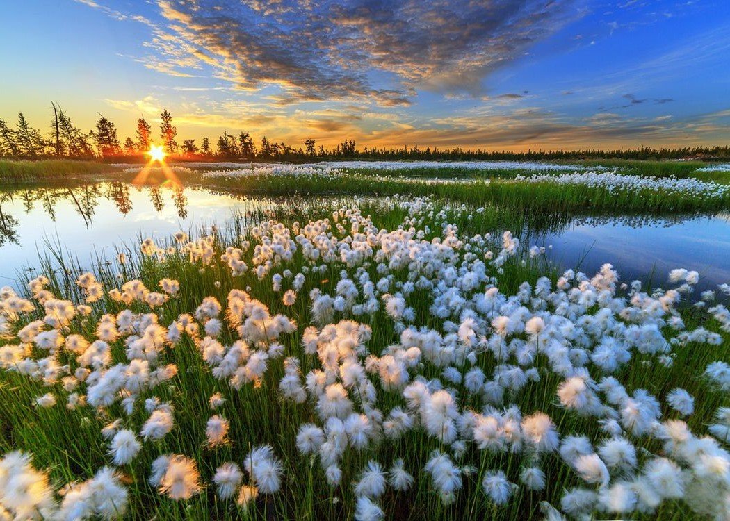 Природа России
