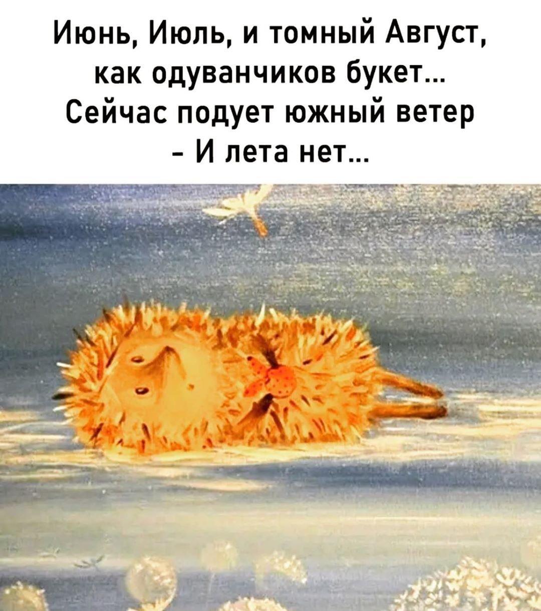 Желтые цветы в руках