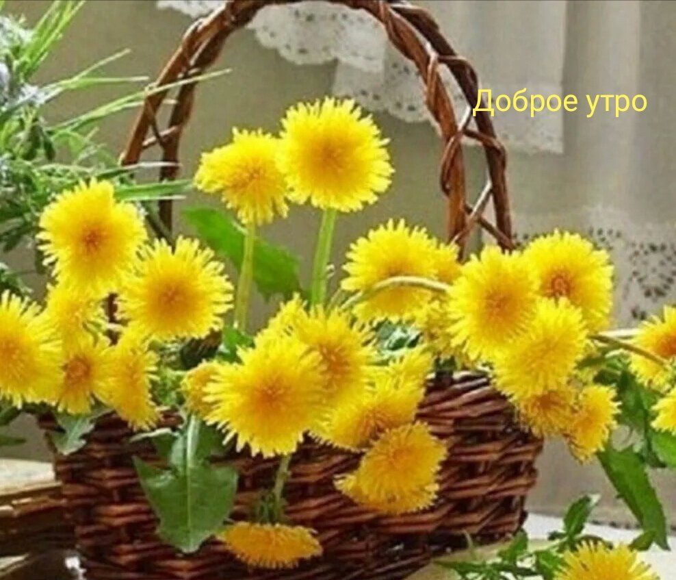 Доброе утро Минимализм