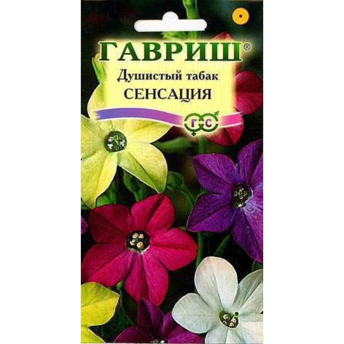 Табак душистый желтый Гавриш