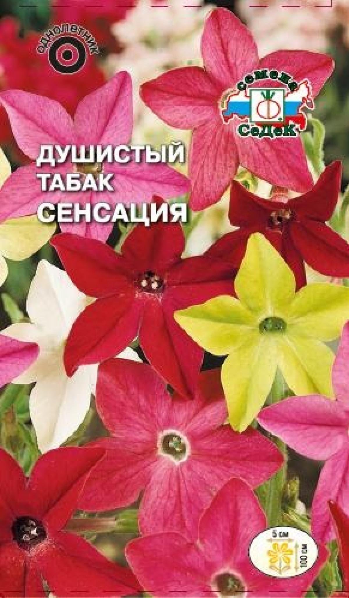 Табак крылатый "Саратога" f1 лайм