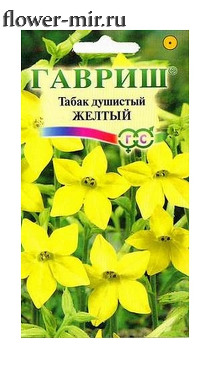Табак душистый гипноз