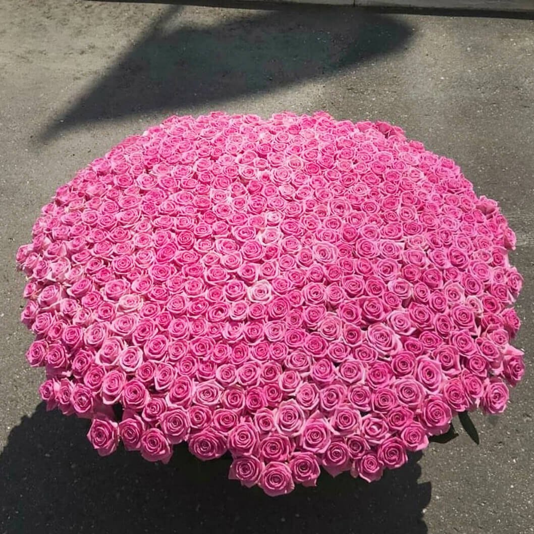 1001 Роза