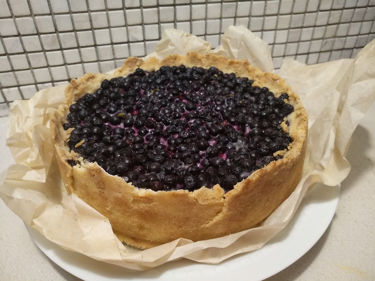 Кусок Черничного пирога