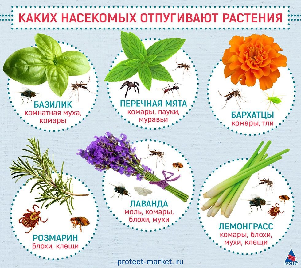 Дорогие брендовые букеты цветов
